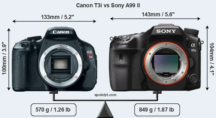Size Canon T3i vs Sony A99 II