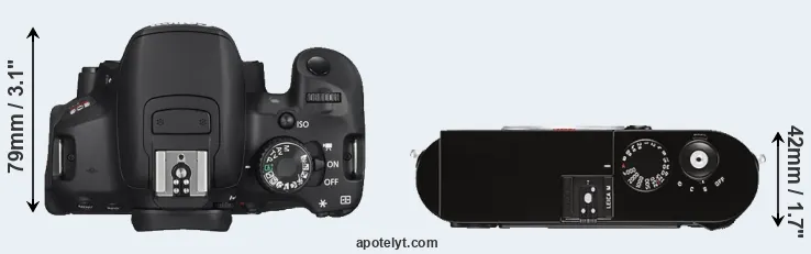 Compare T4i versus M Typ 262 top