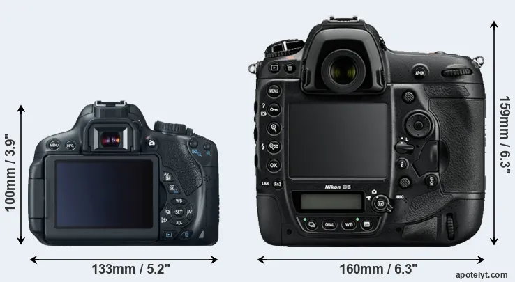 Comparison T4i or D5 rear