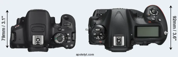 Compare T4i versus D5 top