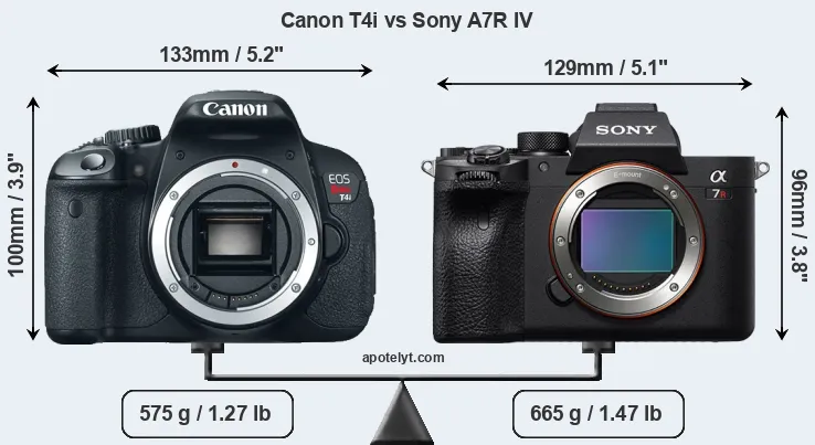 Size Canon T4i vs Sony A7R IV