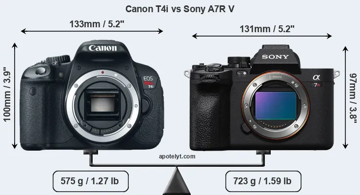 Size Canon T4i vs Sony A7R V