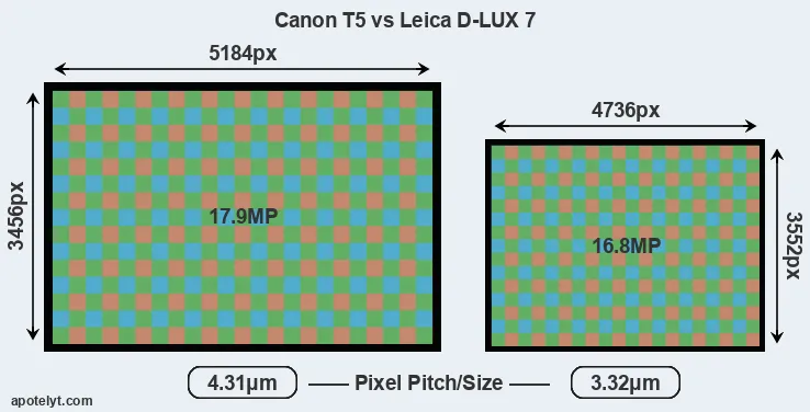 T5 versus D-LUX 7 MP