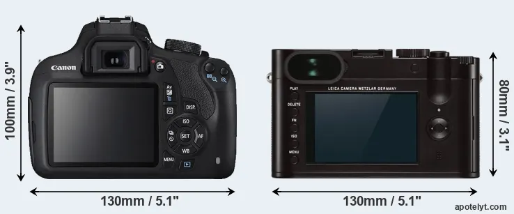 Comparison T5 or Q Typ 116 rear
