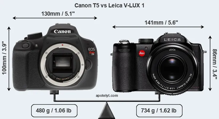Size Canon T5 vs Leica V-LUX 1