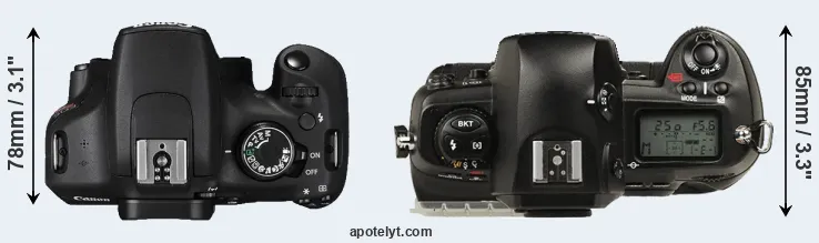 Compare T5 versus D1 top