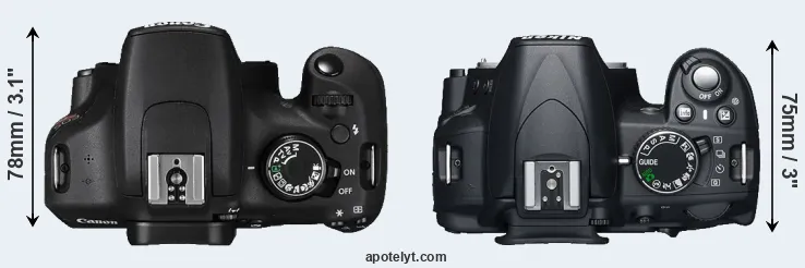 Compare T5 versus D3100 top