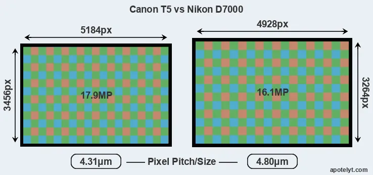 T5 versus D7000 MP