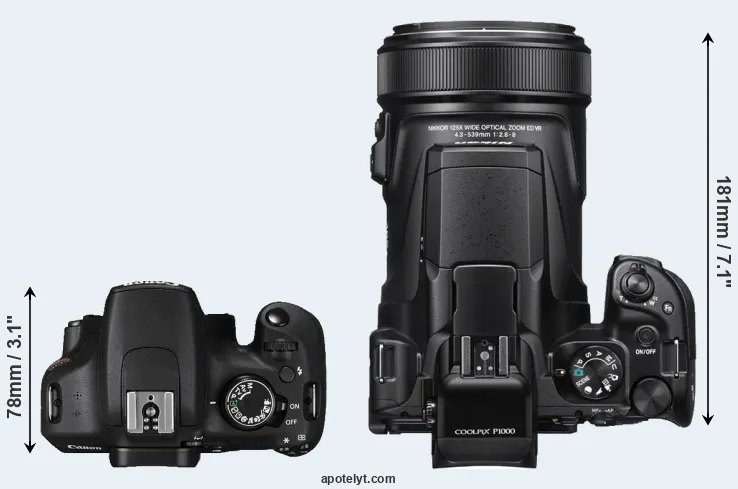 Compare T5 versus P1000 top