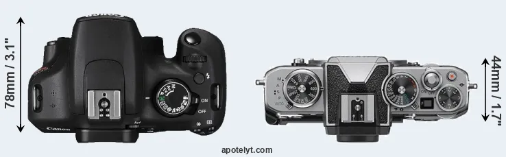 Compare T5 versus Z fc top