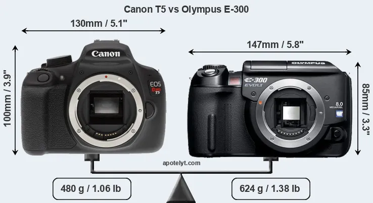 Size Canon T5 vs Olympus E-300