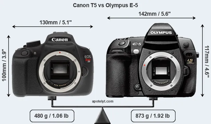 Size Canon T5 vs Olympus E-5