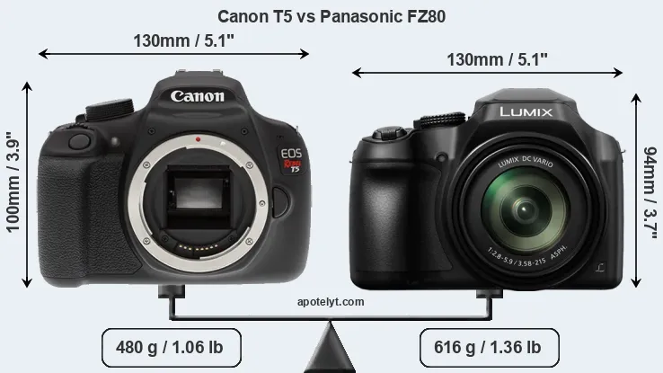 Size Canon T5 vs Panasonic FZ80