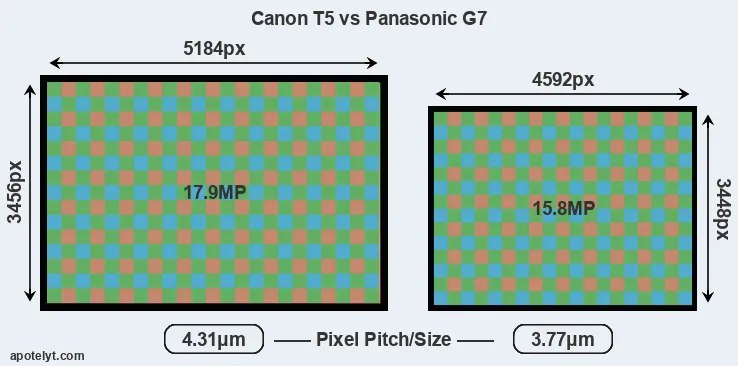 T5 versus G7 MP