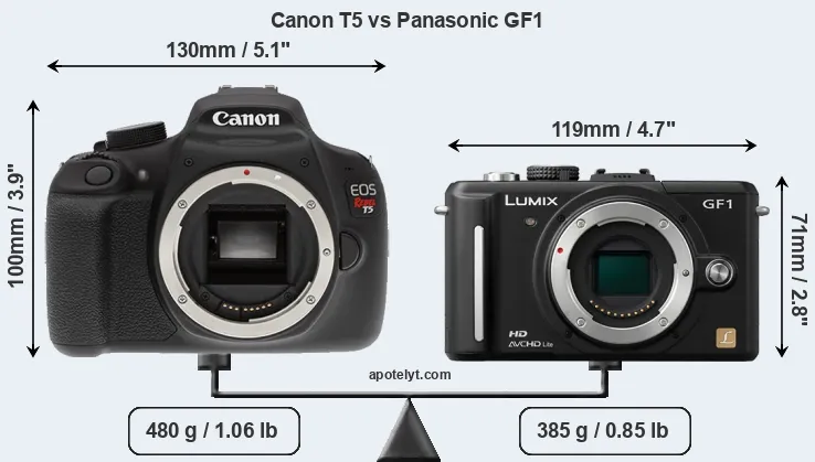 Size Canon T5 vs Panasonic GF1