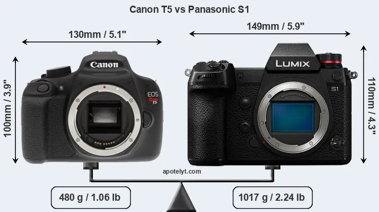 Size Canon T5 vs Panasonic S1