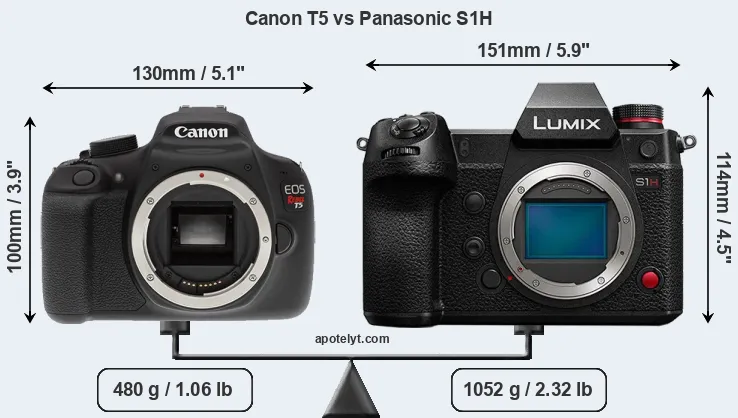 Size Canon T5 vs Panasonic S1H