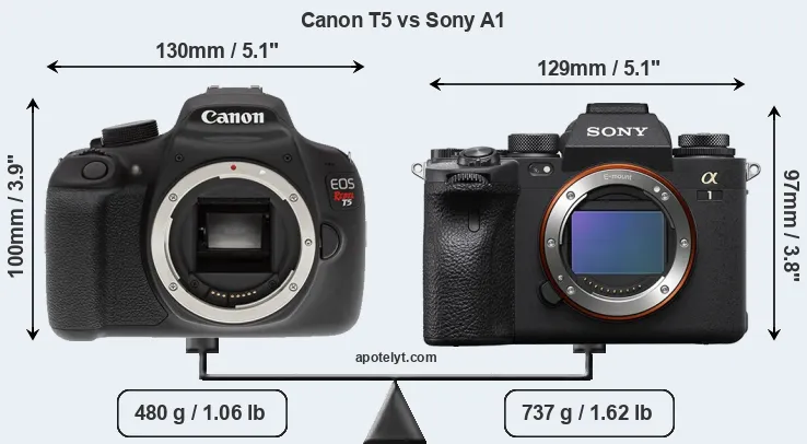 Size Canon T5 vs Sony A1
