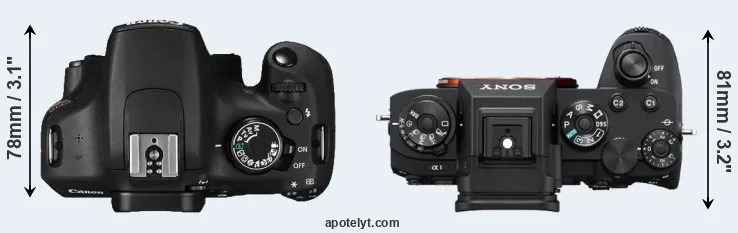 Compare T5 versus A1 top