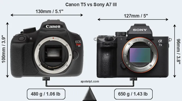 Size Canon T5 vs Sony A7 III