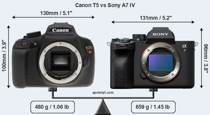Size Canon T5 vs Sony A7 IV