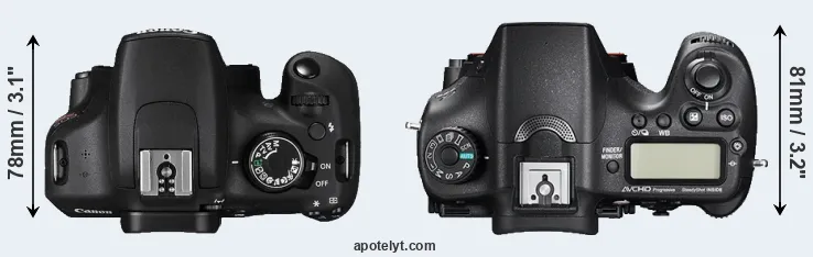 Compare T5 versus A77 II top