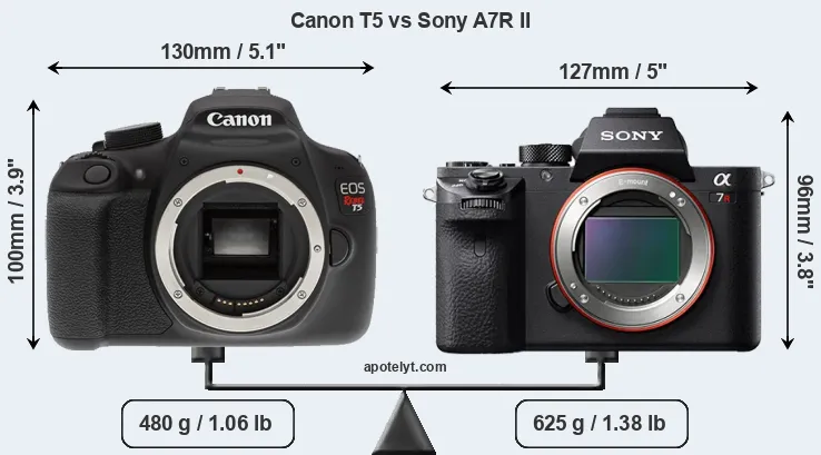 Size Canon T5 vs Sony A7R II
