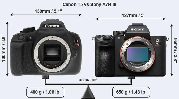 Size Canon T5 vs Sony A7R III