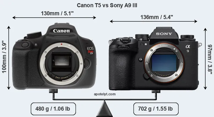 Size Canon T5 vs Sony A9 III