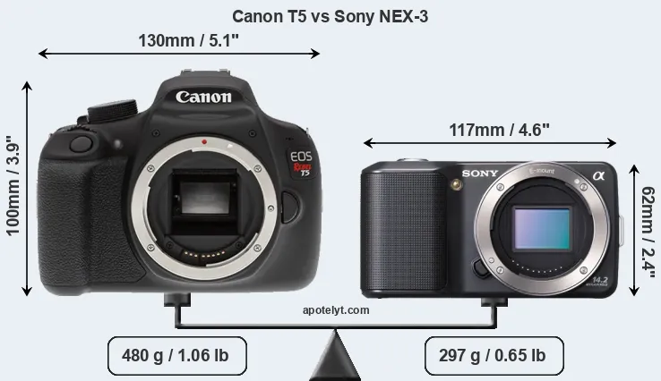 Size Canon T5 vs Sony NEX-3