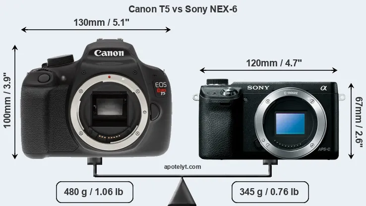 Size Canon T5 vs Sony NEX-6