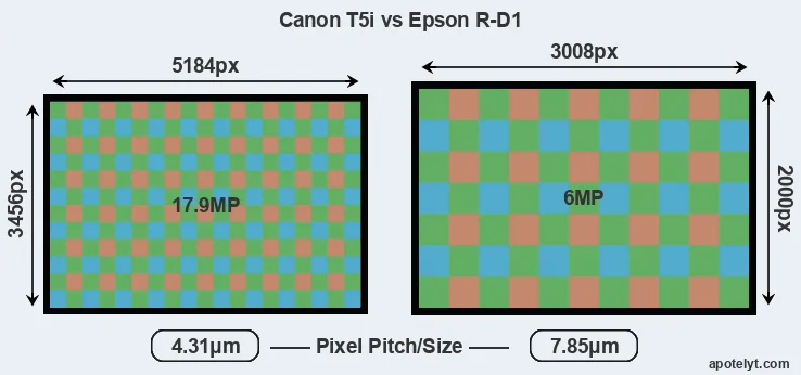 T5i versus R-D1 MP
