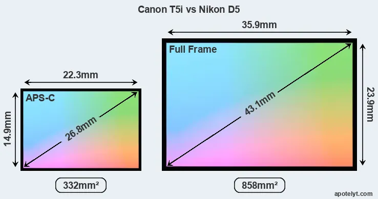 Canon T5i and Nikon D5 sensor measures
