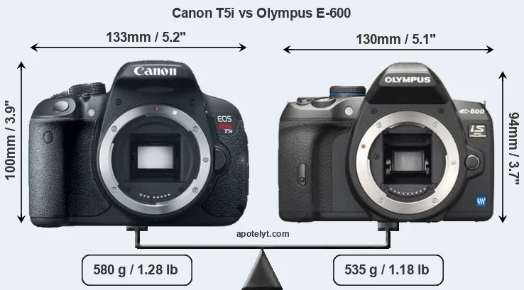 Size Canon T5i vs Olympus E-600