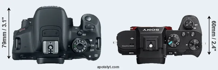 Compare T5i versus A7R II top