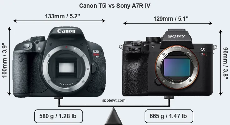 Size Canon T5i vs Sony A7R IV