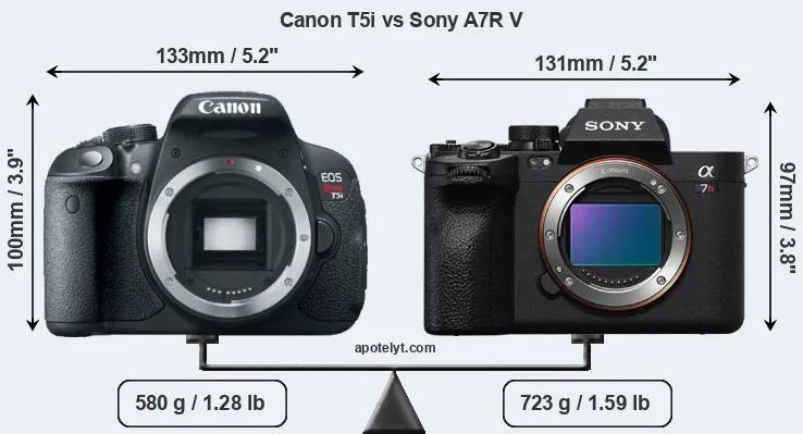 Size Canon T5i vs Sony A7R V