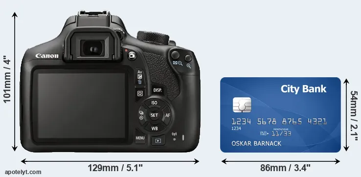 T6 and credit card rear side