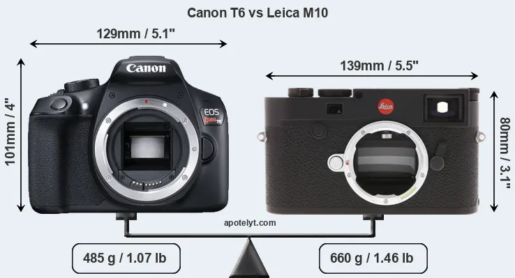 Size Canon T6 vs Leica M10