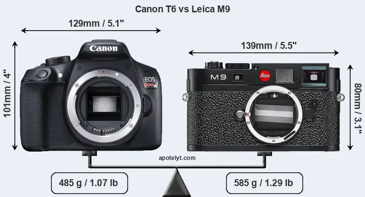 Size Canon T6 vs Leica M9