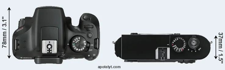 Compare T6 versus M9 top