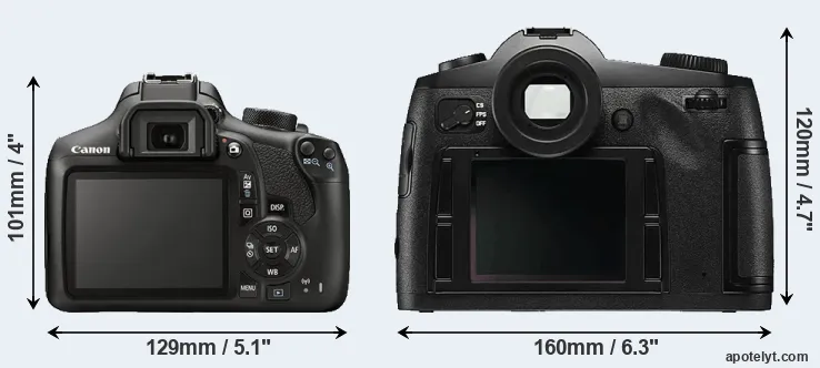Comparison T6 or S Typ 006 rear