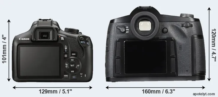 Comparison T6 or S Typ 007 rear