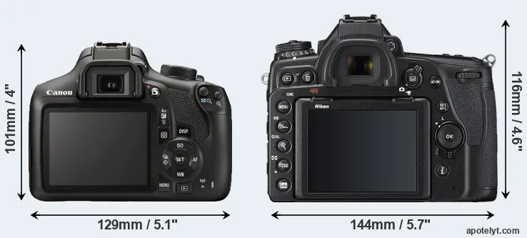 Comparison T6 or D780 rear