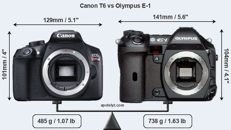 Size Canon T6 vs Olympus E-1