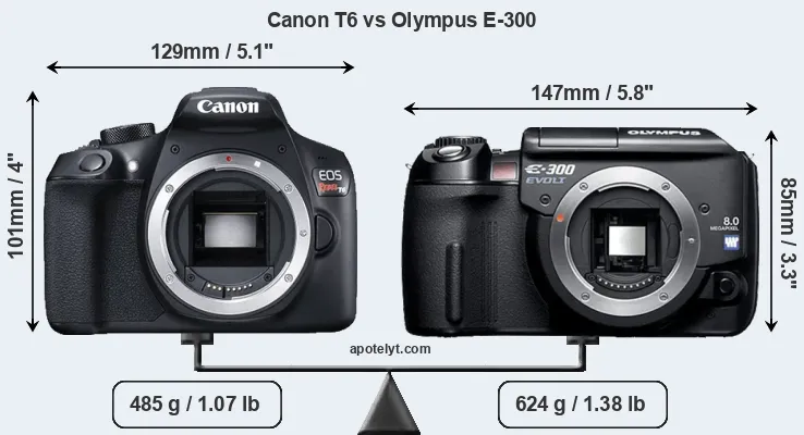 Size Canon T6 vs Olympus E-300