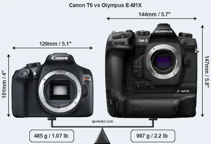 Size Canon T6 vs Olympus E-M1X