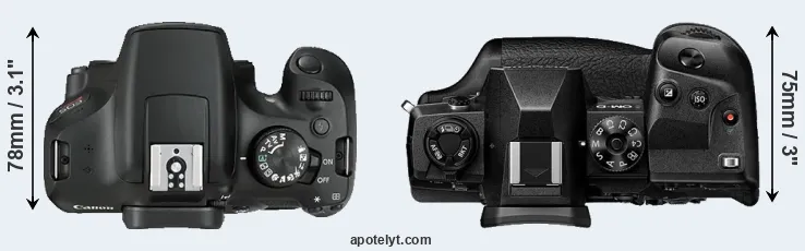 Compare T6 versus E-M1X top