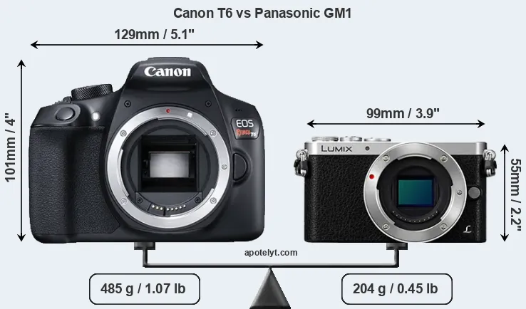 Size Canon T6 vs Panasonic GM1