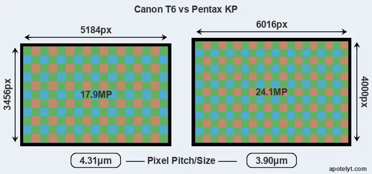 T6 versus KP MP